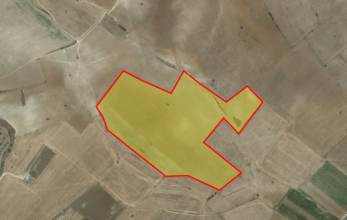 CV1141, Large piece of agricultural land for sale in Kivisili