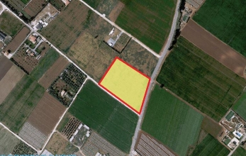 CV1370, Land for sale in Kiti.