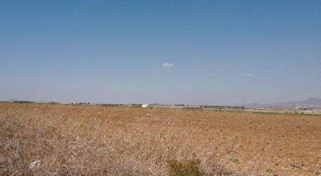 AGRICULTURAL LAND FOR SALE AT A VERY LOW PRICE