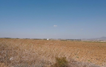 CV1651, AGRICULTURAL LAND FOR SALE AT A VERY LOW PRICE