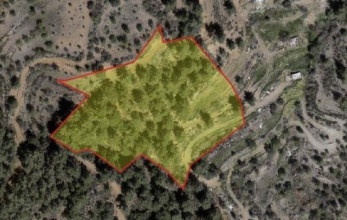 CV1986, Agricultural land for sale in the pine forest of Vavatsinia.