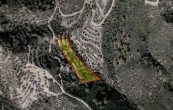 CV2198, Agricultural land for sale in Pano Lefkara.