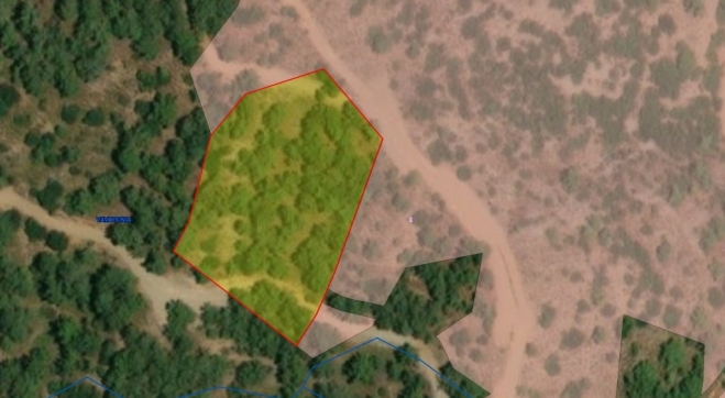 Land for sale in Vavatsinia