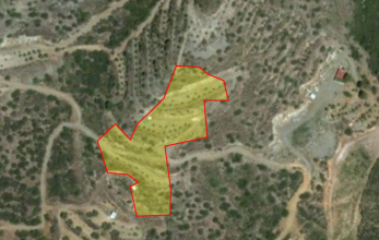 CV929, Agricultural land for sale in Lageia