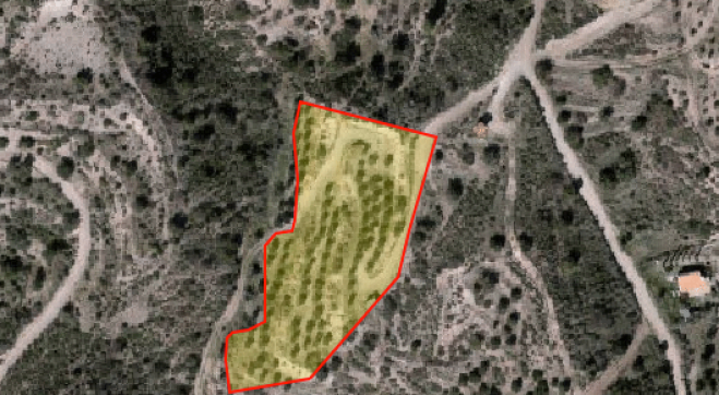 Agricultural land for sale in Lageia