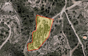 CV940, Agricultural land for sale in Lageia