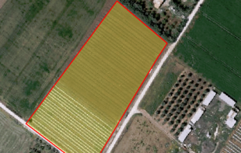 CV1070, Agricultural land for sale in Kiti