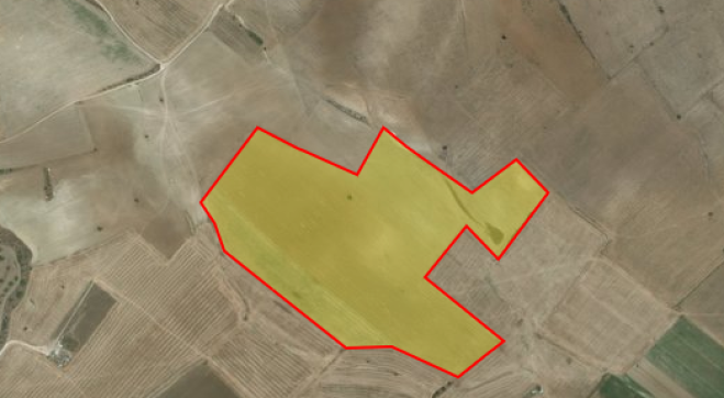 Large piece of agricultural land for sale in Kivisili
