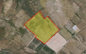 CV1143, Large piece of agricultural land for sale in Softades (Kiti)