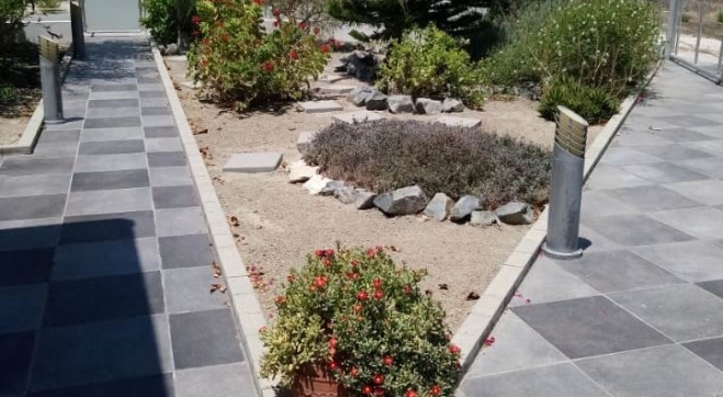 IMG-20190419-WA0001