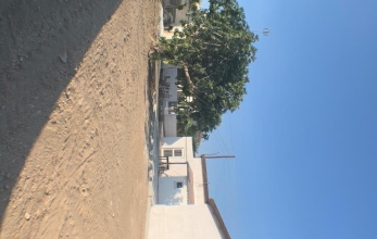 CV1517, Pet-friendly Bungalow for rent in Alethriko.