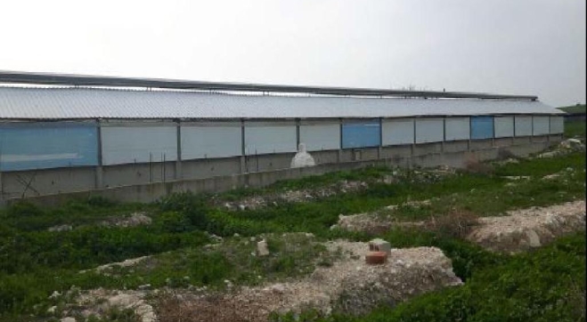 FARM FOR SALE IN ARADIPPOU