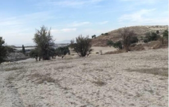 CV1641, AGRICULTURAL LAND FOR SALE AT A VERY LOW PRICE