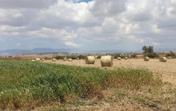 CV1642, LAND FOR SALE AT A VERY GOOD PRICE