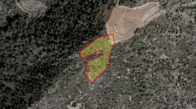 Agricultural land for sale in Agious Vavatsinias. 