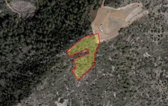 CV1686, Agricultural land for sale in Agious Vavatsinias. 