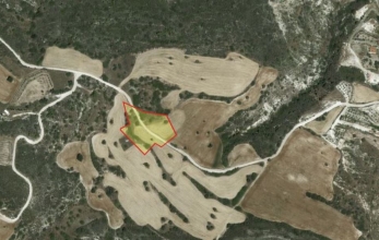 CV1695, AGRICULTURAL LAND FOR SALE IN KALAVASO