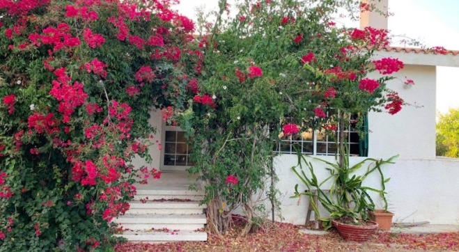 3 bed Bungalow for sale in a huge land in Monagroulli.