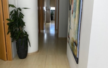 Picture6