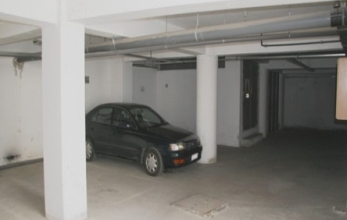 Picture7