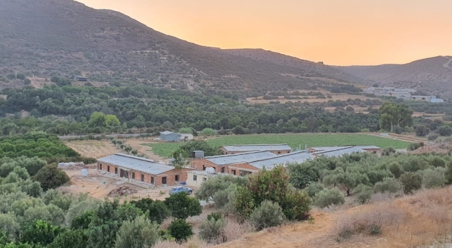 Animal farm for rent Agios Theodoros.