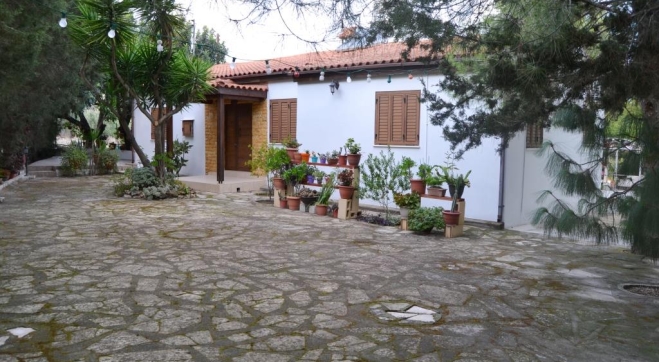 Holiday home for sale in a land full of trees in Alethriko.