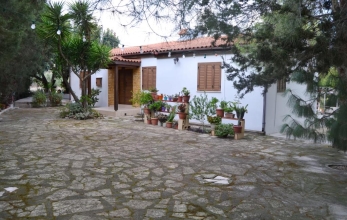 CV1958, Holiday home for sale in a land full of trees in Alethriko.
