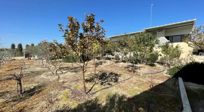 Agricultural bungalow full of trees in Kellia.