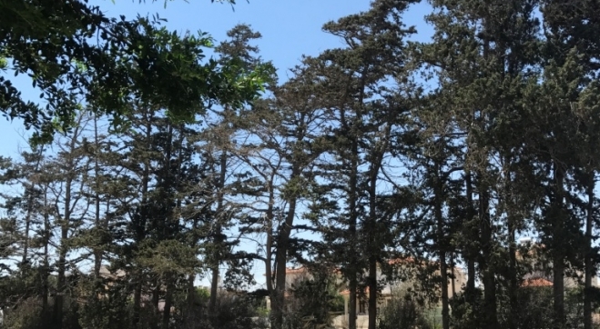 3161498800678IMG_6395