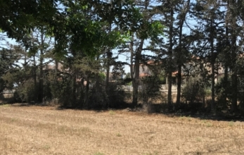 CV2003, Half building plot for sale in Pervolia.