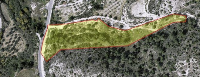Agricultural land for sale in Alethrico.