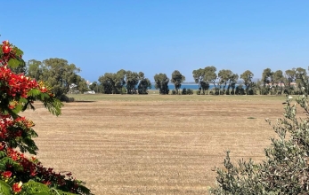 CV2071, 2 bed house with sea views for sale in Pervolia.
