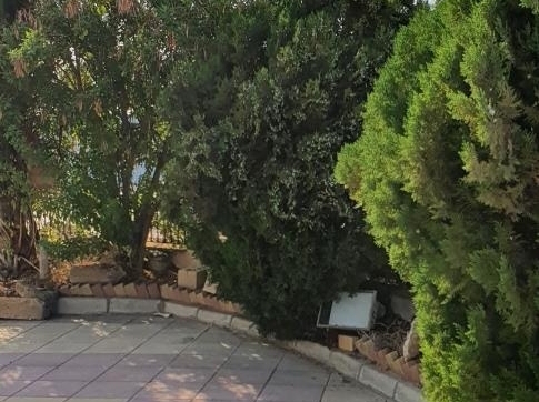 7B GARDEN