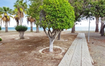 CV2221, Sea view 2 bed beach house for rent in Pervolia.