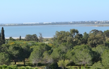 ML245, Two bed apartment for sale in Faneromeni Larnaca