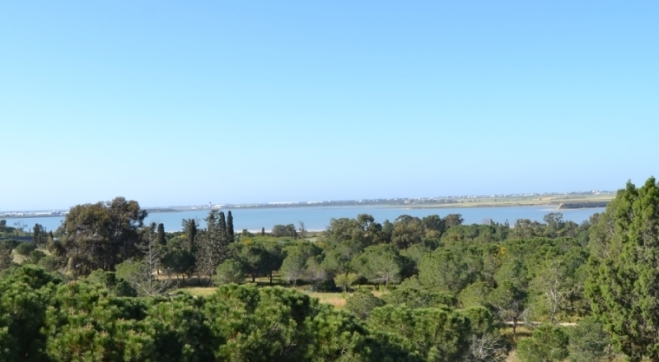 One bed apartment for sale in Faneromeni