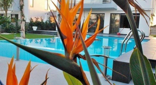 Three bedroom detached luxury house for rent in Pervolia with private pool