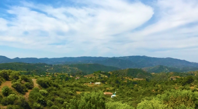 Agricultural land for sale in Pano Lefkara