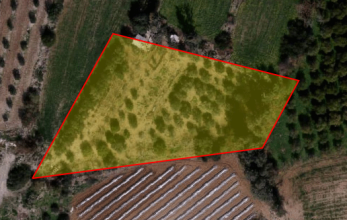 CV862, Agricultural land in Agios Theodoros