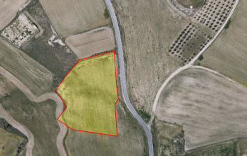 CV869, Agricultural land in Tersefanou