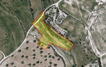 CV871, Agricultural land in Tersefanou