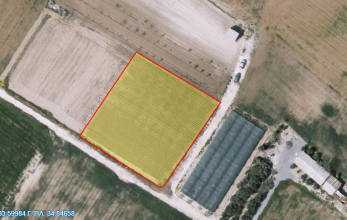 CV884, Agricultural land in Pervolia