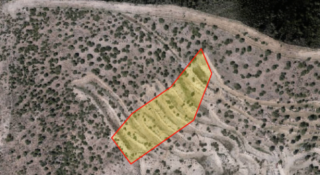 Agricultural land for sale in Lageia